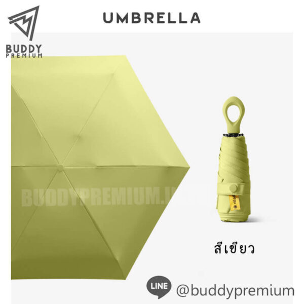 ร่มพับ สีเขียว