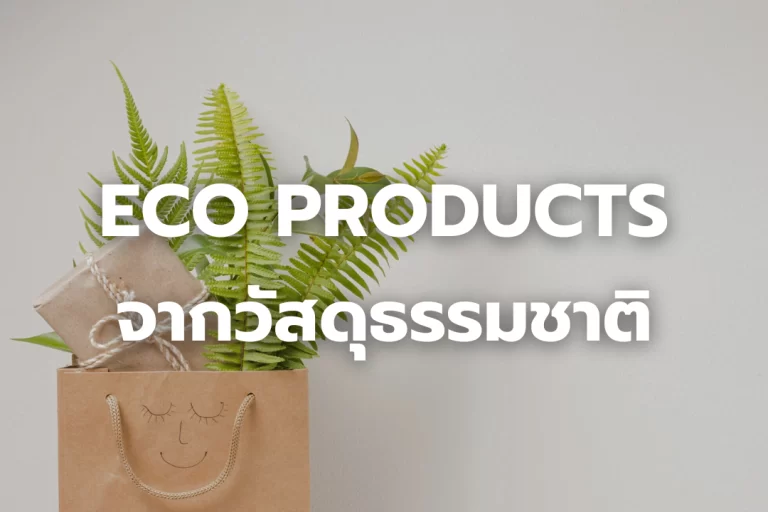 ผลิตภัณฑ์จากวัสดุธรรมชาติ eco products